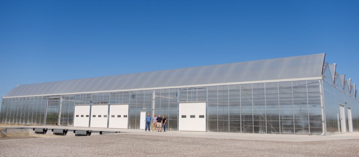 Now Hiring - Shipping Director