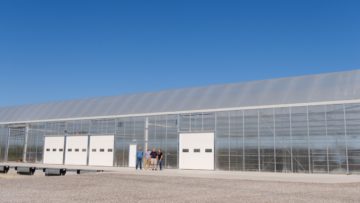 Now Hiring - Shipping Director