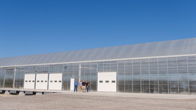 Now Hiring - Shipping Director