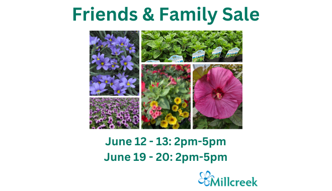 Friends & Family Sale