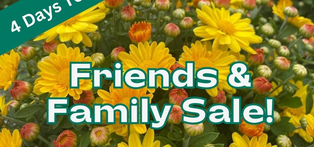 Fall Friends & Family Sale