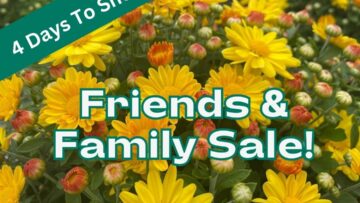 Fall Friends & Family Sale