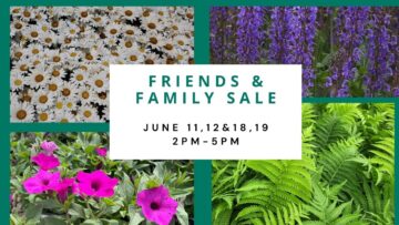 Friends & Family Sale