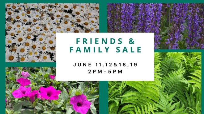 Friends & Family Sale