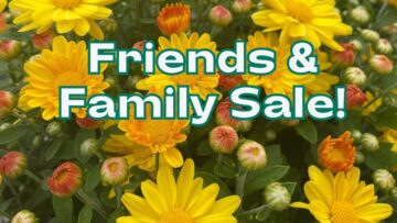Fall Friends & Family Sale