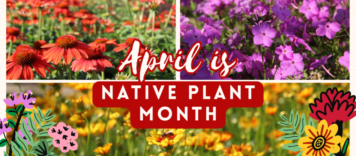 Native Plant Month!